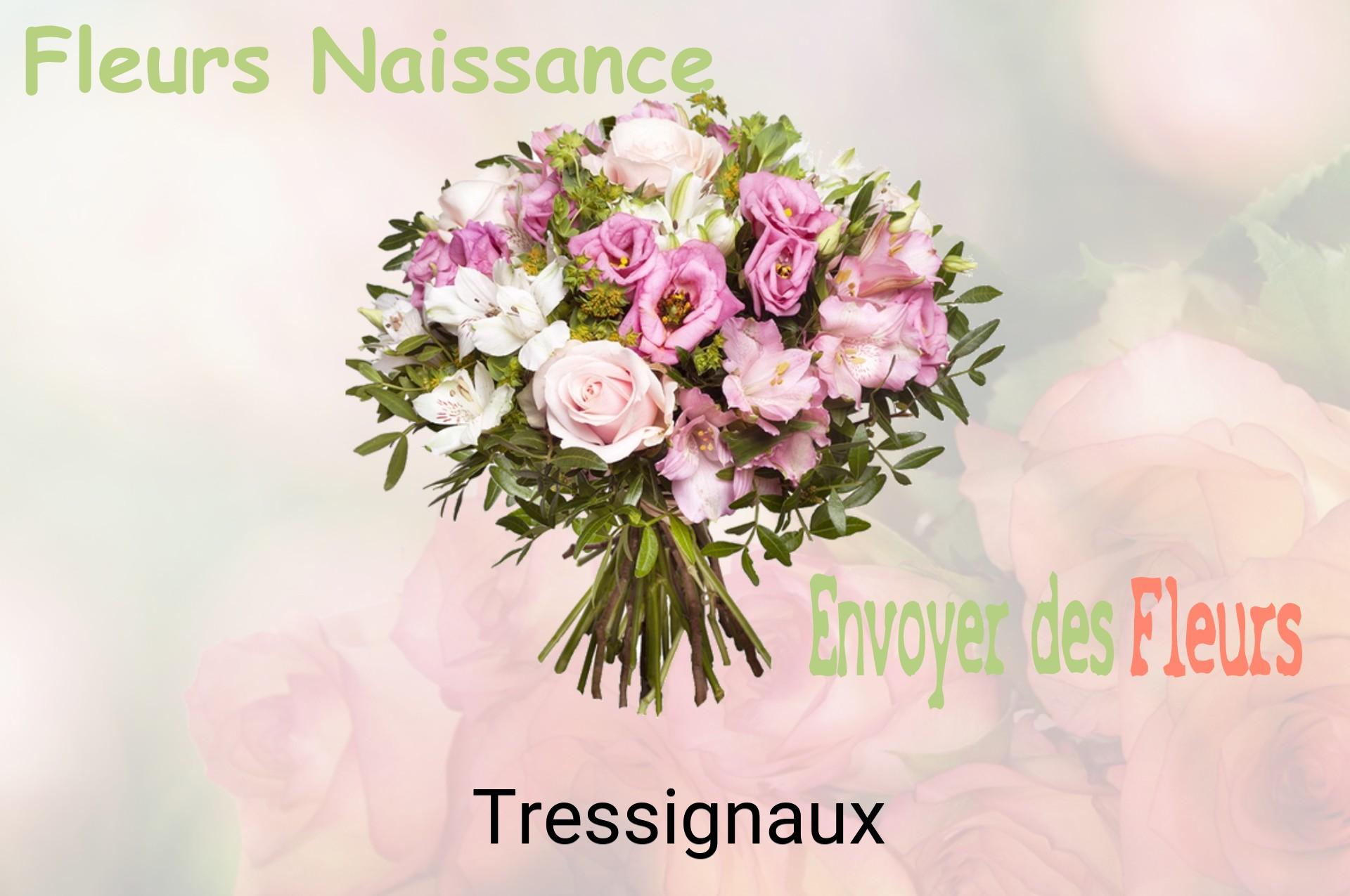 Bouquet de fleurs de naissance livré à Tressignaux