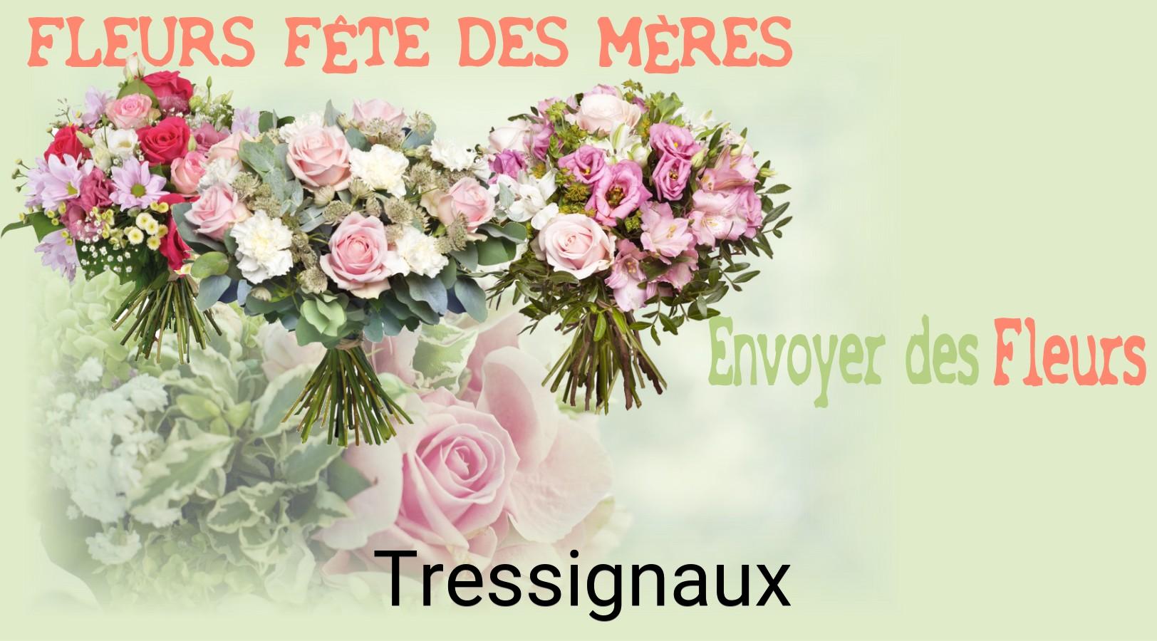 Bouquet de Fête des Mères livré à Tressignaux